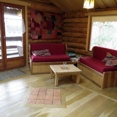 La Cabane De Hans Saint-Martial-de-Gimel Εξωτερικό φωτογραφία